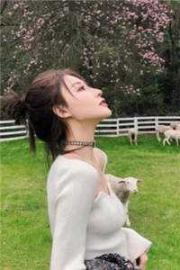 蜂群思维盲点后续
